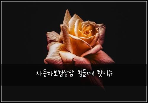 ์๋์ฐจ๋ณดํ์๋ด ํ๋ค๋ ํซ์ด์
