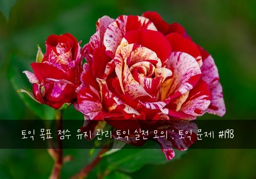 토익 목표 점수 유지 관리 토익 실전 모의 : 토익 문제 #198