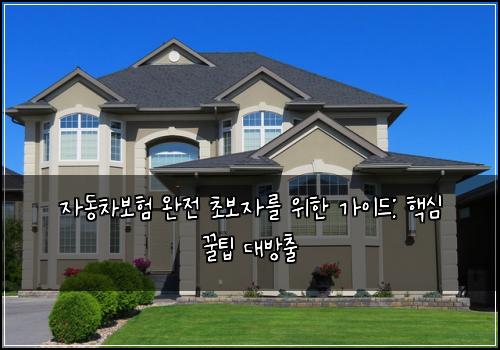  자동차보험 완전 초보자를 위한 가이드: 핵심 꿀팁 대방출