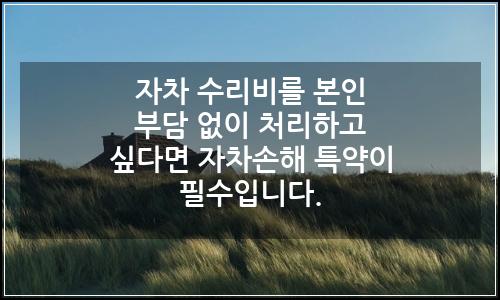 오늘의 이미지