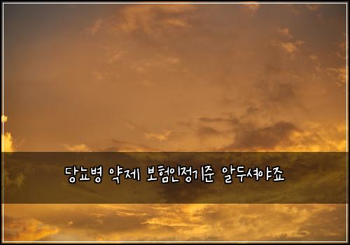당뇨병 약제 보험인정기준 알두셔야죠
