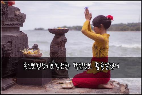 종신보험정기보험전환 핵심정보 활용설명서