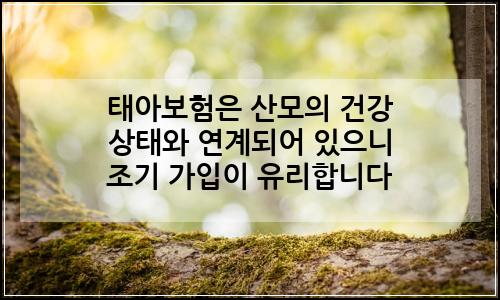 오늘의 이미지
