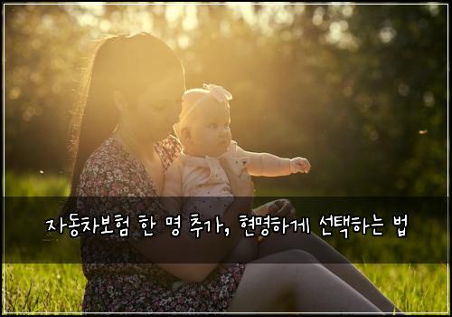 자동차보험 한 명 추가, 현명하게 선택하는 법