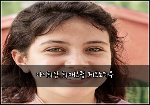 ์์ดํ์ ํ์ฌ๋ณดํ ์ฒดํฌ๋
ธํ์ฐ