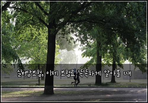 실버암보험, 이제 보험료 똑똑하게 알아볼 때