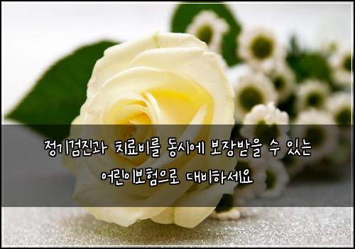 오늘의 이미지