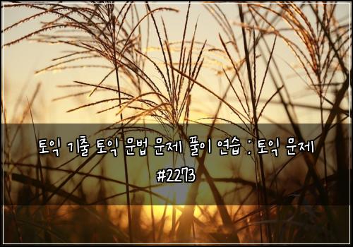 토익 기출 토익 문법 문제 풀이 연습 : 토익 문제 #2273