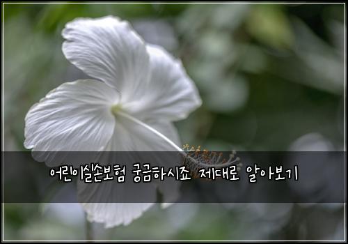 어린이실손보험 궁금하시죠  제대로 알아보기