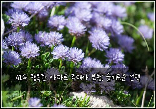 AIG 행복한 아파트 주태아 보험: 슬기로운 선택