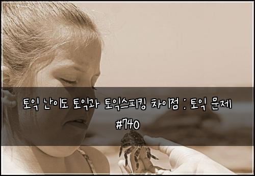 토익 난이도 토익과 토익스피킹 차이점 : 토익 문제 #740