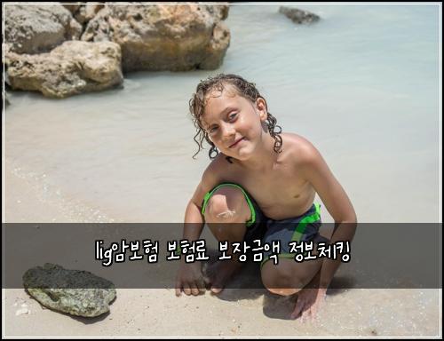 lig암보험 보험료 보장금액 정보체킹