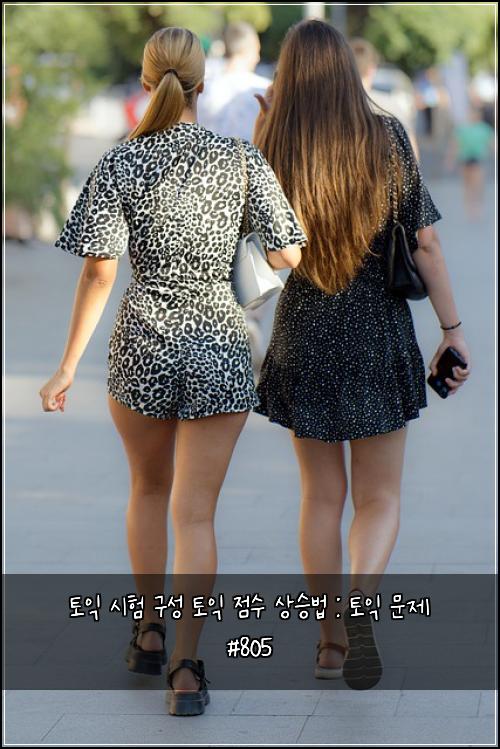 토익 시험 구성 토익 점수 상승법 : 토익 문제 #805