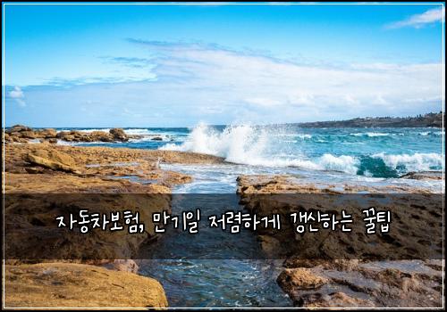  자동차보험, 만기일 저렴하게 갱신하는 꿀팁