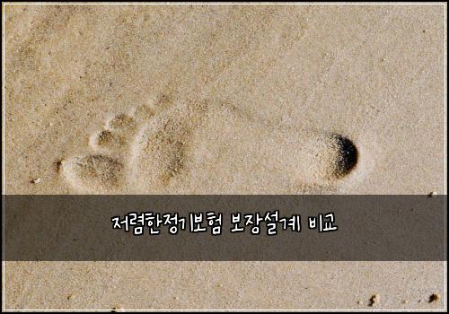 저렴한정기보험 보장설계  비교