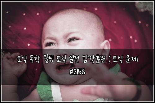 토익 독학 꿀팁 토익 실전 감각훈련 : 토익 문제 #2156