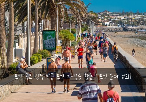 토익 목표 성적 변동 토익 자격증 활용 : 토익 문제 #217