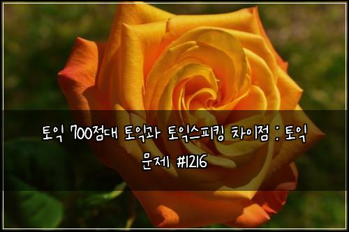ํ ์ต 700์ ๋ ํ ์ต๊ณผ ํ ์ต์คํผํน ์ฐจ์ด์ : ํ ์ต ๋ฌธ์ #1216