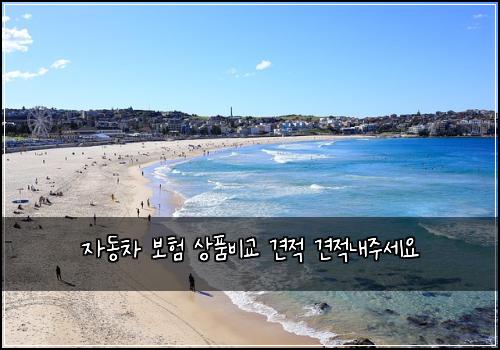 자동차 보험 상품비교  견적 견적내주세요