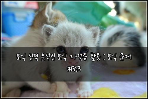 토익 성적 분석법 토익 자격증 활용 : 토익 문제 #1393