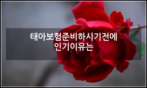 오늘의 이미지
