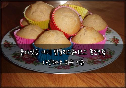  물가상승 대비! 탑클러스유니브스 종신보험 가입해야 하는 이유