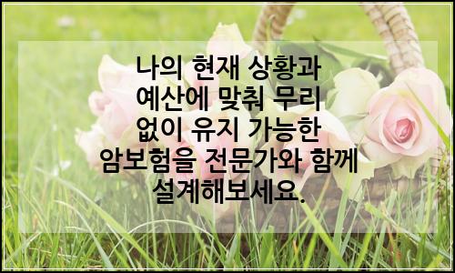오늘의 이미지