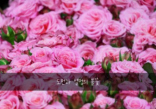 도전과 열정의 불꽃