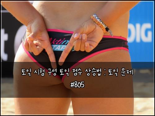 토익 시험 구성 토익 점수 상승법 : 토익 문제 #805