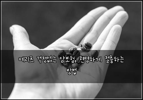 메리츠 걱정없는 암보험, 현명하게 절충하는 방법