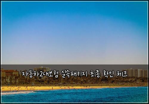 자동차2대보험 실속패키지  최종 확인 체크
