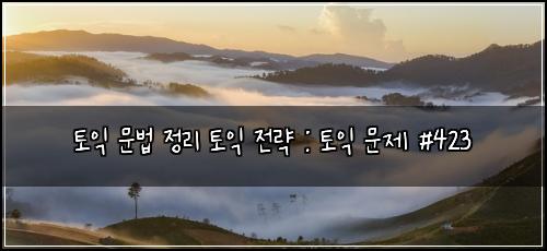 토익 문법 정리 토익 전략 : 토익 문제 #423