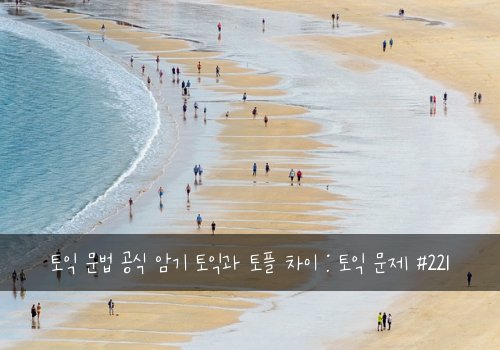 토익 문법 공식 암기 토익과 토플 차이 : 토익 문제 #221