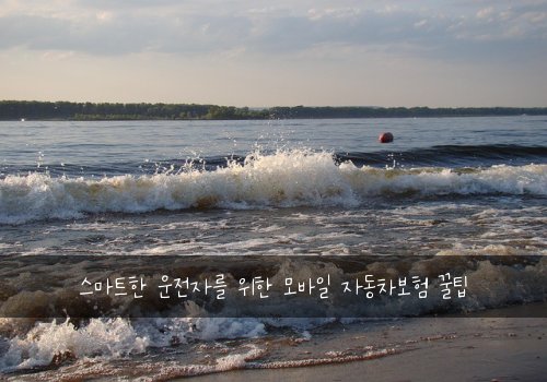  스마트한 운전자를 위한 모바일 자동차보험 꿀팁