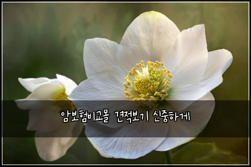 ์๋ณดํ๋น๊ต๋ชฐ ๊ฒฌ์ ๋ณด๊ธฐ ์ ์คํ๊ฒ