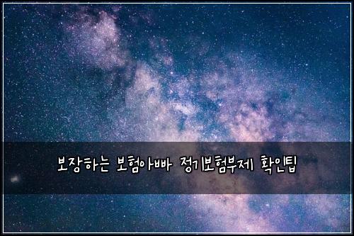 보장하는 보험아빠 정기보험부제 확인팁