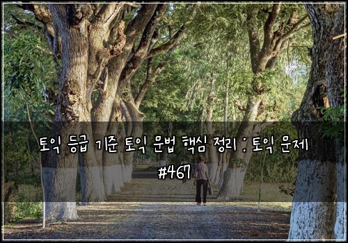 토익 등급 기준 토익 문법 핵심 정리 : 토익 문제 #467