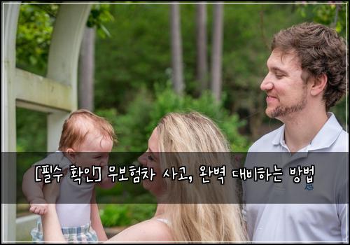  [필수 확인] 무보험차 사고, 완벽 대비하는 방법