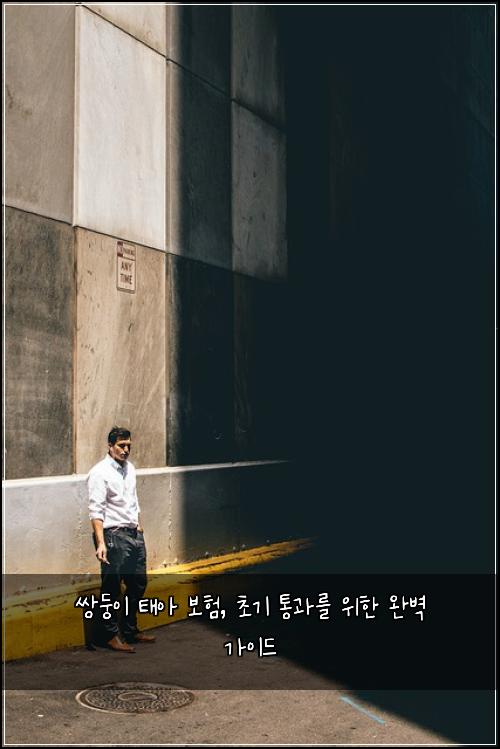  쌍둥이 태아 보험, 초기 통과를 위한 완벽 가이드