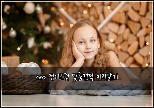 ceo 정기보험 맞춤견적  미리알기