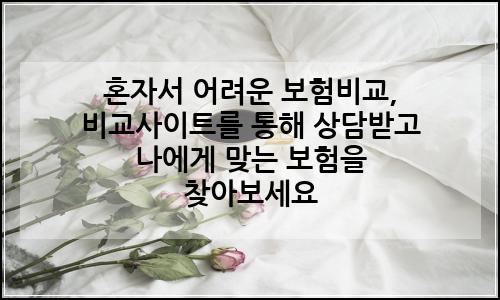 오늘의 이미지