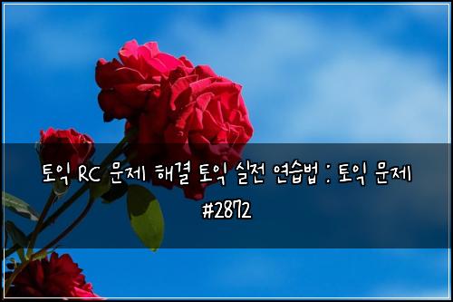 토익 RC 문제 해결 토익 실전 연습법 : 토익 문제 #2872