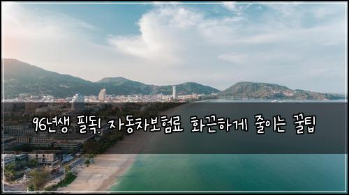  96년생 필독! 자동차보험료 화끈하게 줄이는 꿀팁
