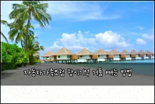 자동차가족보험 항시기억  거품 빼는 방법