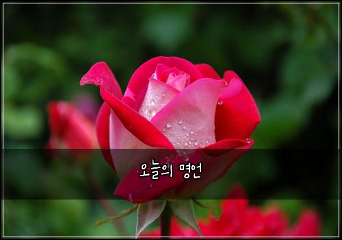 ์ค๋์ ๋ช
์ธ