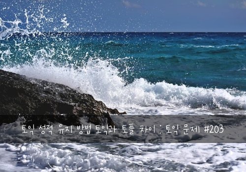 토익 성적 유지 방법 토익과 토플 차이 : 토익 문제 #203