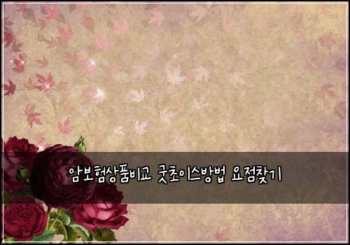 암보험상품비교 굿초이스방법 요점찾기