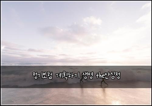 정기보험 계획하기  생명 the안심정