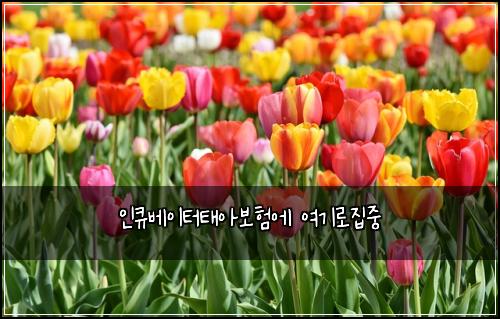 ์ธํ๋ฒ ์ดํฐํ์๋ณดํ์ ์ฌ๊ธฐ๋ก์ง์ค