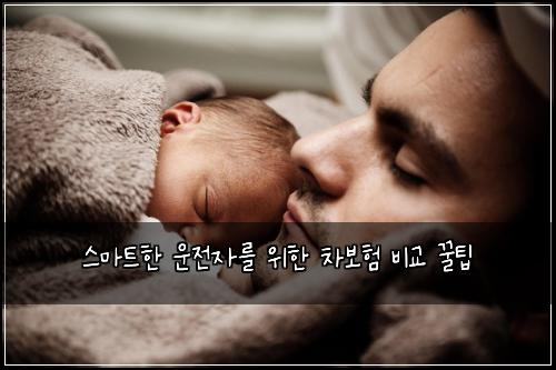  스마트한 운전자를 위한 차보험 비교 꿀팁